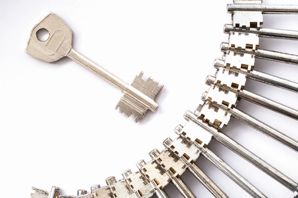 شکستن دندان نیش سگ: 20 نکته مهم که باید بدانید